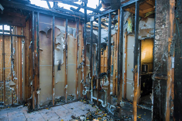 Professional Fire Damage Removal technician working in Suncoast Estates, FL